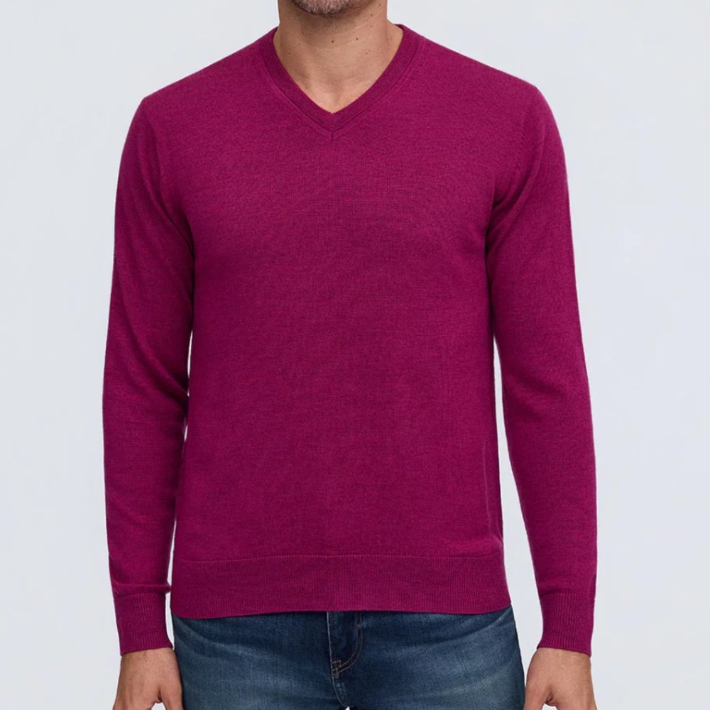 Raffi Men's 100% Extra Fine Merino Wool V-Neck Sweater Sz L